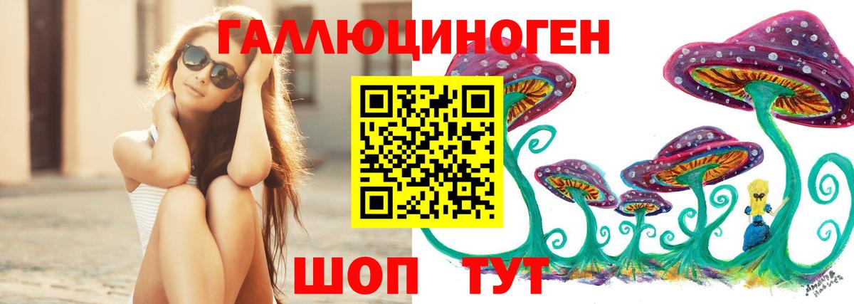 Псилоцибиновые грибы Cubensis Луга